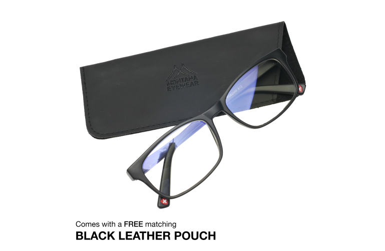 Jaylynn Computer Glasses with Case