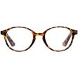 Amsterdam Tortoise Shell Reading Glasses