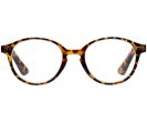 Amsterdam Tortoise Shell Reading Glasses
