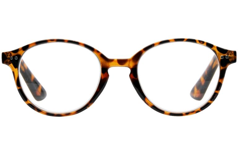 Amsterdam Tortoise Shell Reading Glasses