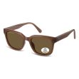 Ascot Wayfarer Tortoise Shell Polarised Sunglasses